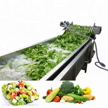 Good Structural Strength Fruit And Vegetable Cleaner Lettuce Washing Machine Safe Operation